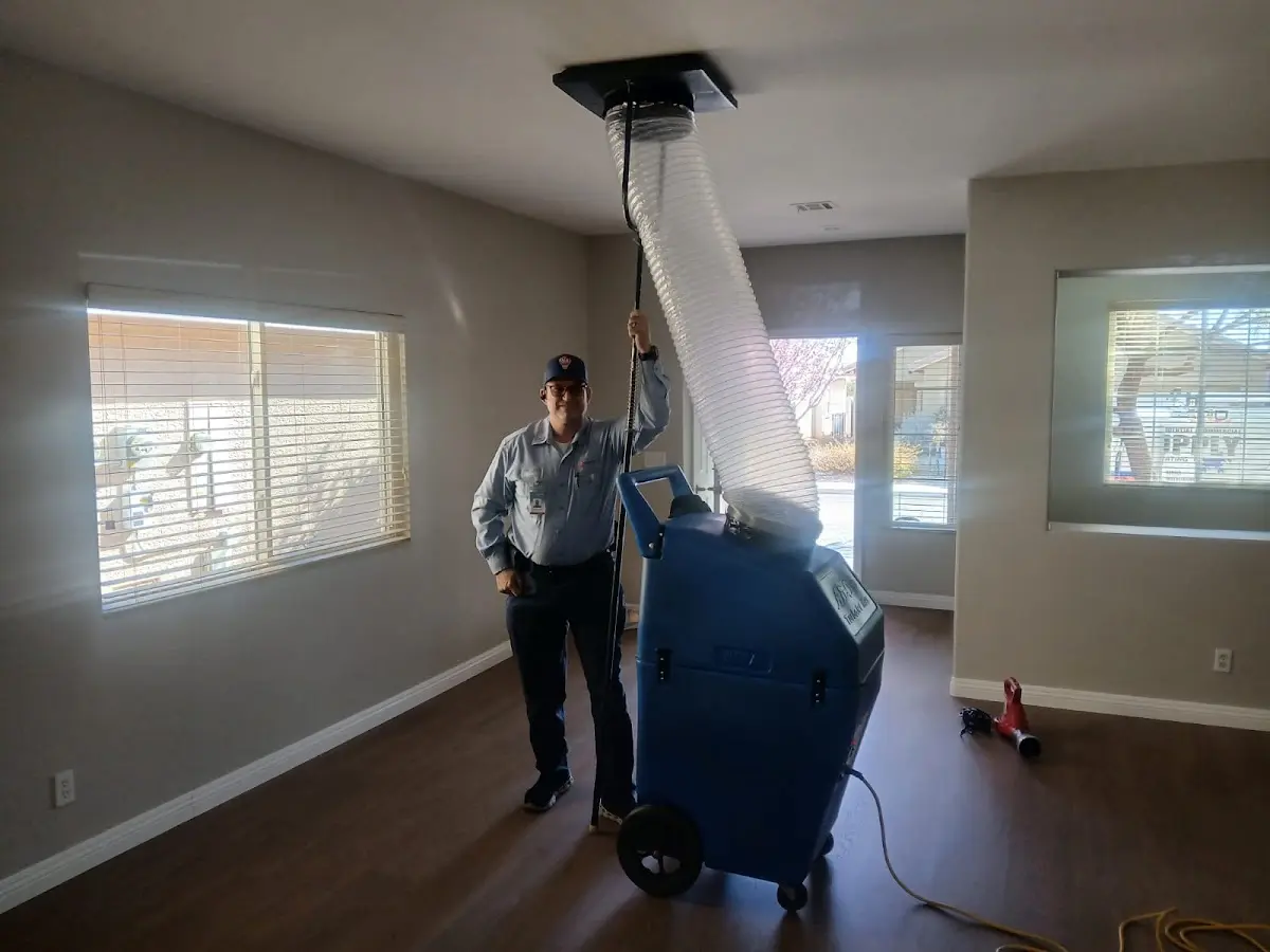 Professional Dryer Vent Cleaning work inside a Zebulon home